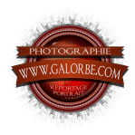 BadgeVintage2016COM-V3-1000px